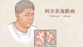 SAT考试指南:SAT备考攻略,高中生必看!