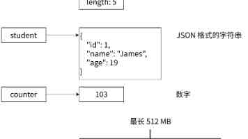完美：你的一次 他的一生