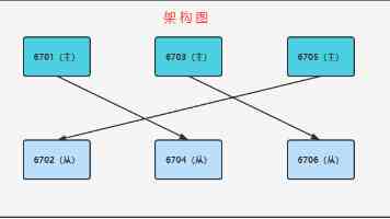 乒乓球胶皮全面指南：从种类解析到实战选择